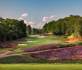 St George's Golf Club is located in the South West of England, and is one of surrey's most elite golf courses