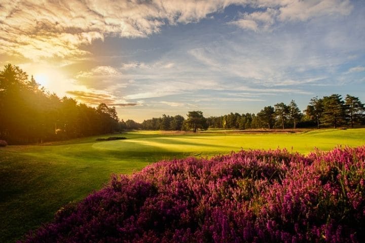 Sunningdale New Course 720x480 1