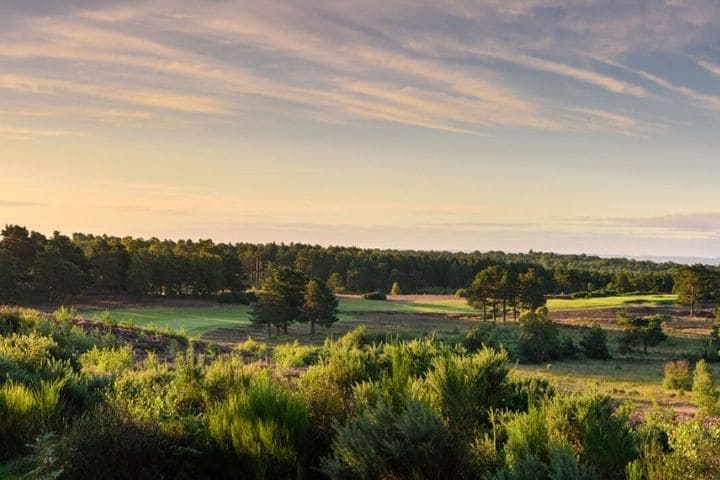 Sunningdale New Course 720x480 3
