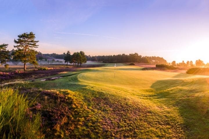 Sunningdale New Course 720x480