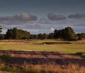 Walton Heath Golf Club 240x280