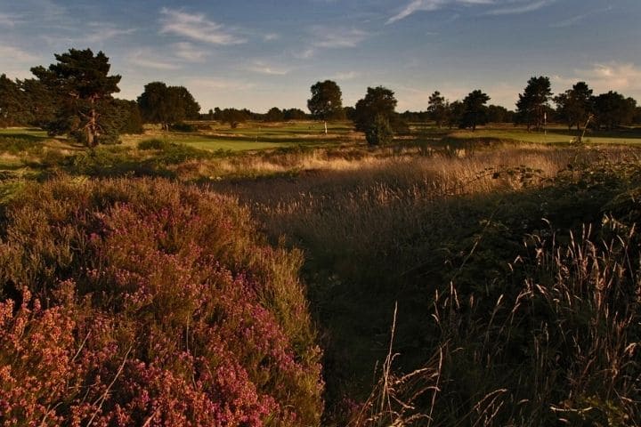 Walton Heath New Course 720x480 2