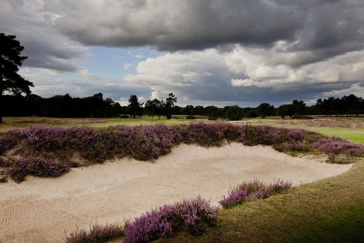 Walton Heath New Course 720x480