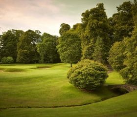 Mount Juliet 