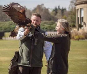 Gleneagles Outdoor Pursuits and Falconry, Gleaneagles