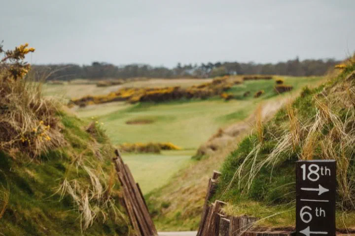 The 18th hole to the right - but beauty everywhere you look at Kingsbarns