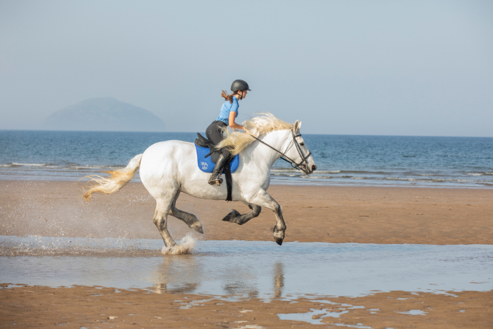 Horse Riding at the Trump Turnberry Hotel and Golf Resort in Girvan, Scotland.