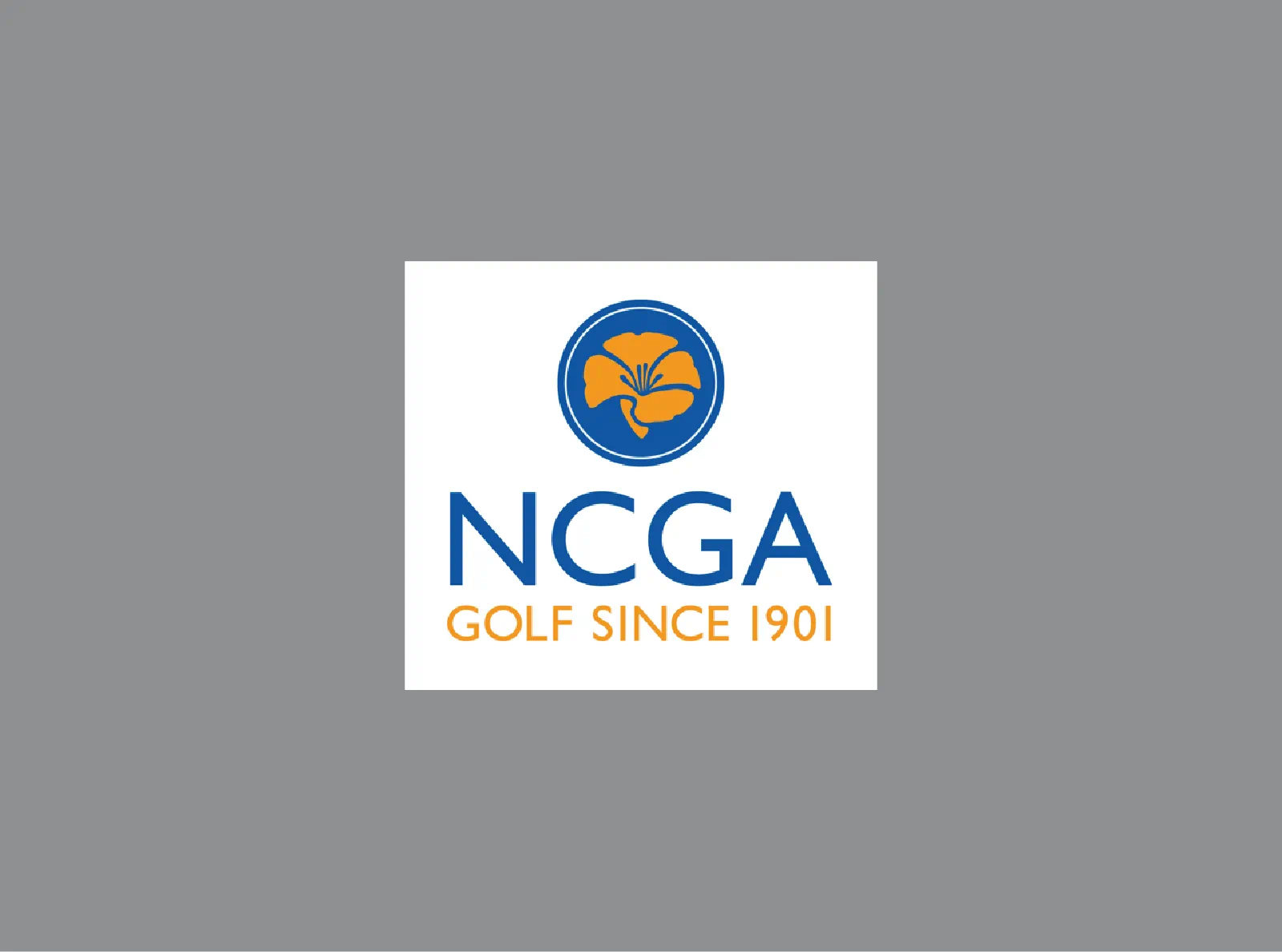 Logo name